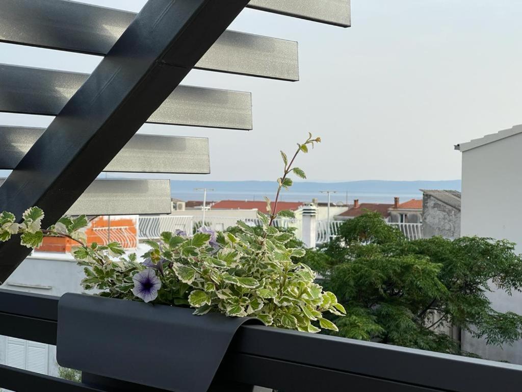 Villa Jadranka Apartments Тучепи Экстерьер фото